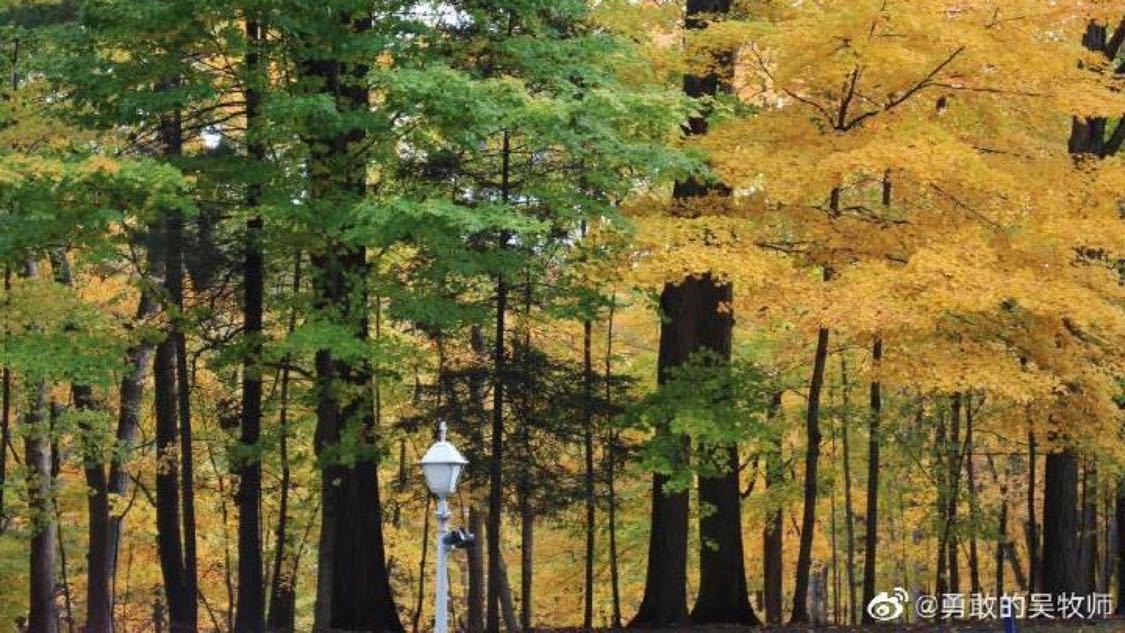 454秒赞网登录页面：高效便捷的登录流程体验_80级火法最强输出天赋加点