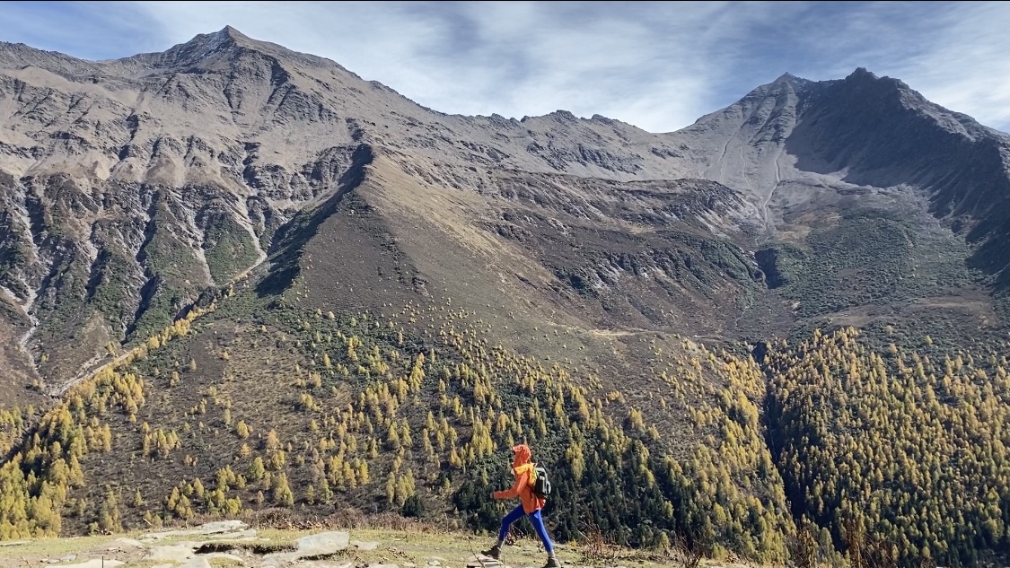 全网涨赞最低价：省钱达人必备这些折扣不容错过